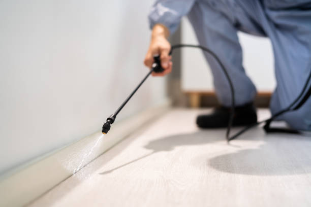 Certified termite inspector examining foundation in Hart
